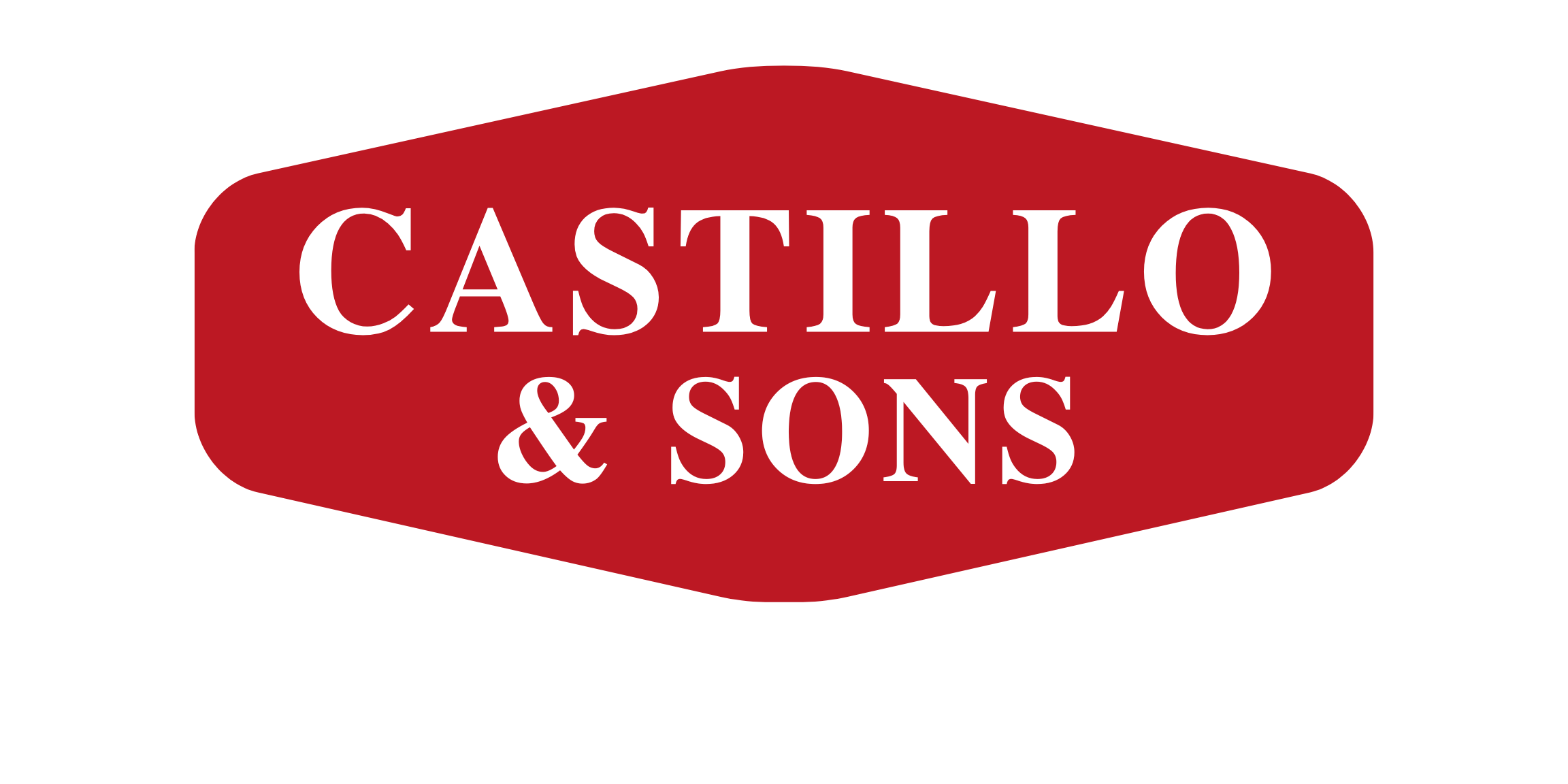 CASTILLO & SONS MIAMI